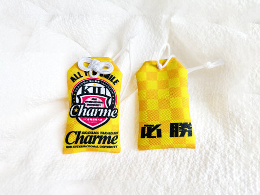 事例紹介｜女子サッカークラブ・Charme様